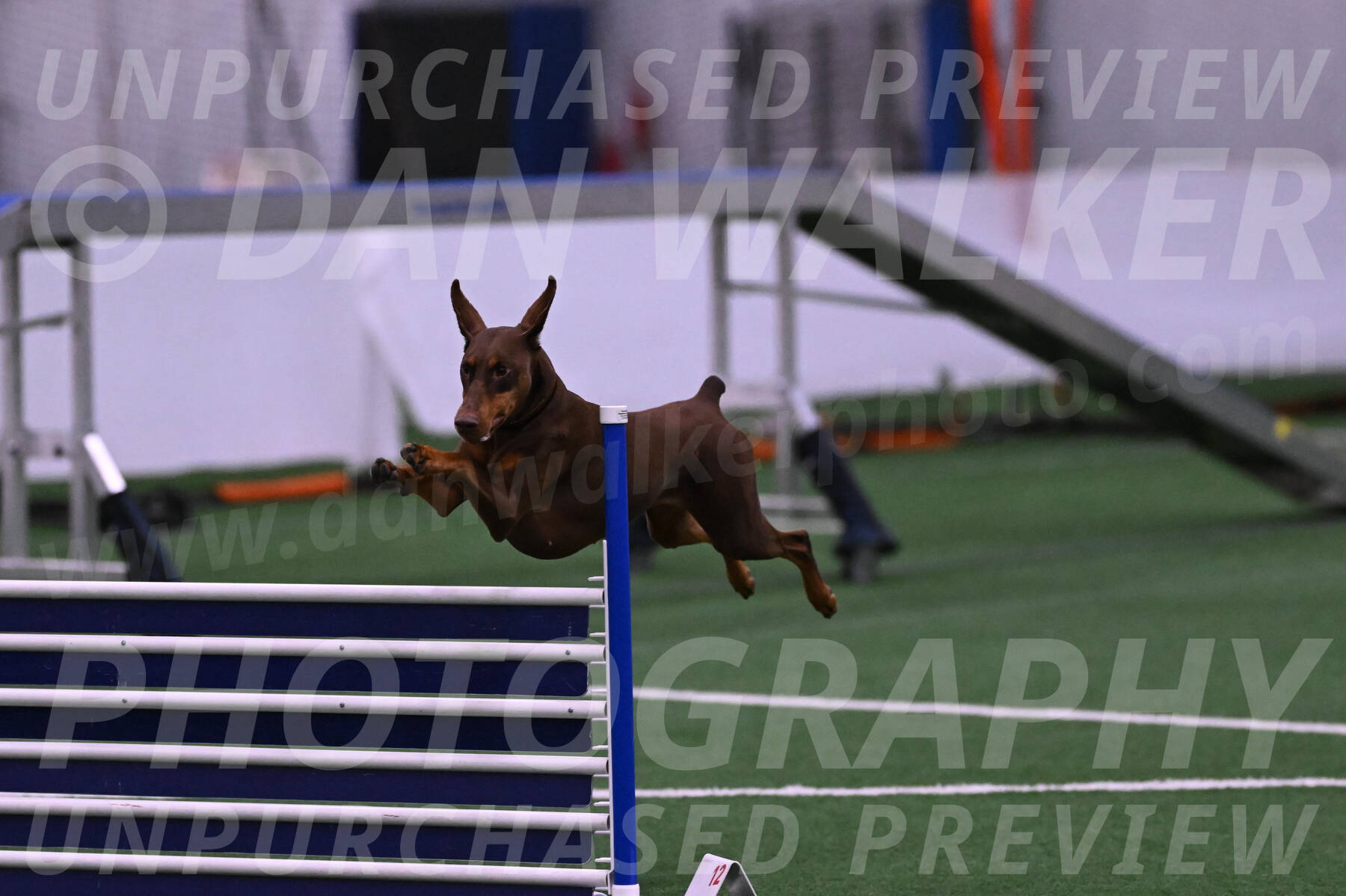 Derby-Carol-Moore-04973
