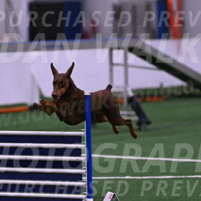 Derby-Carol-Moore-04973