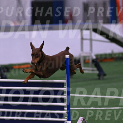 Derby-Carol-Moore-04974