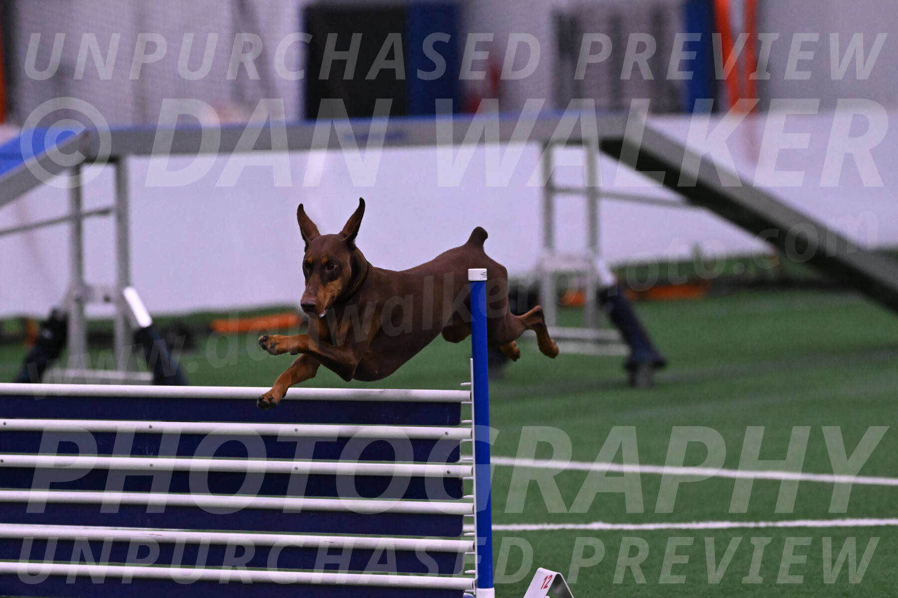Derby-Carol-Moore-04974