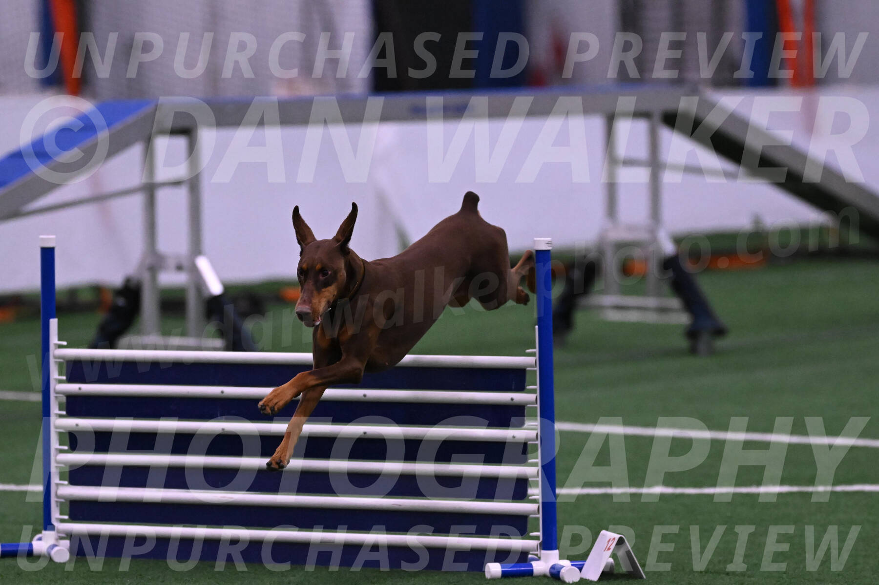 Derby-Carol-Moore-04975