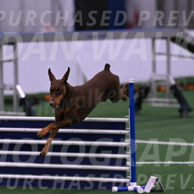 Derby-Carol-Moore-04975