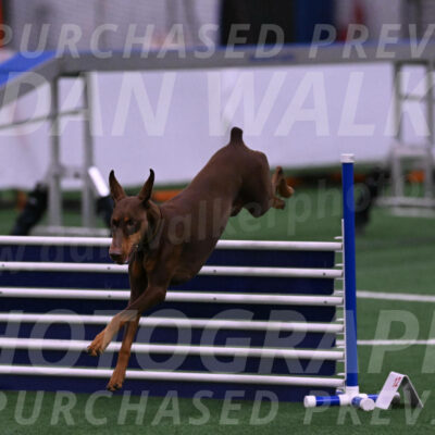 Derby-Carol-Moore-04976