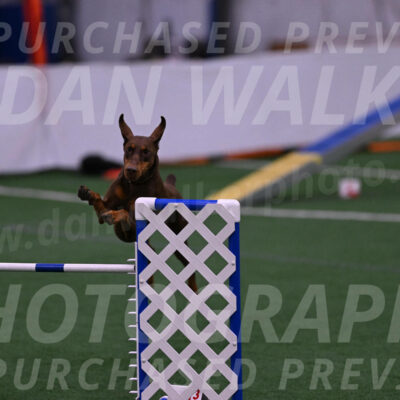 Derby-Carol-Moore-04979