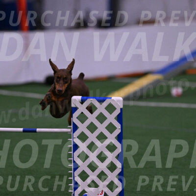 Derby-Carol-Moore-04980