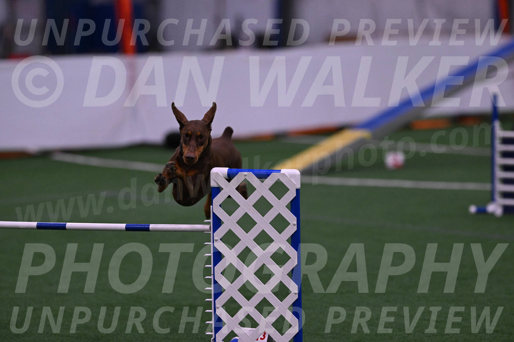Derby-Carol-Moore-04980