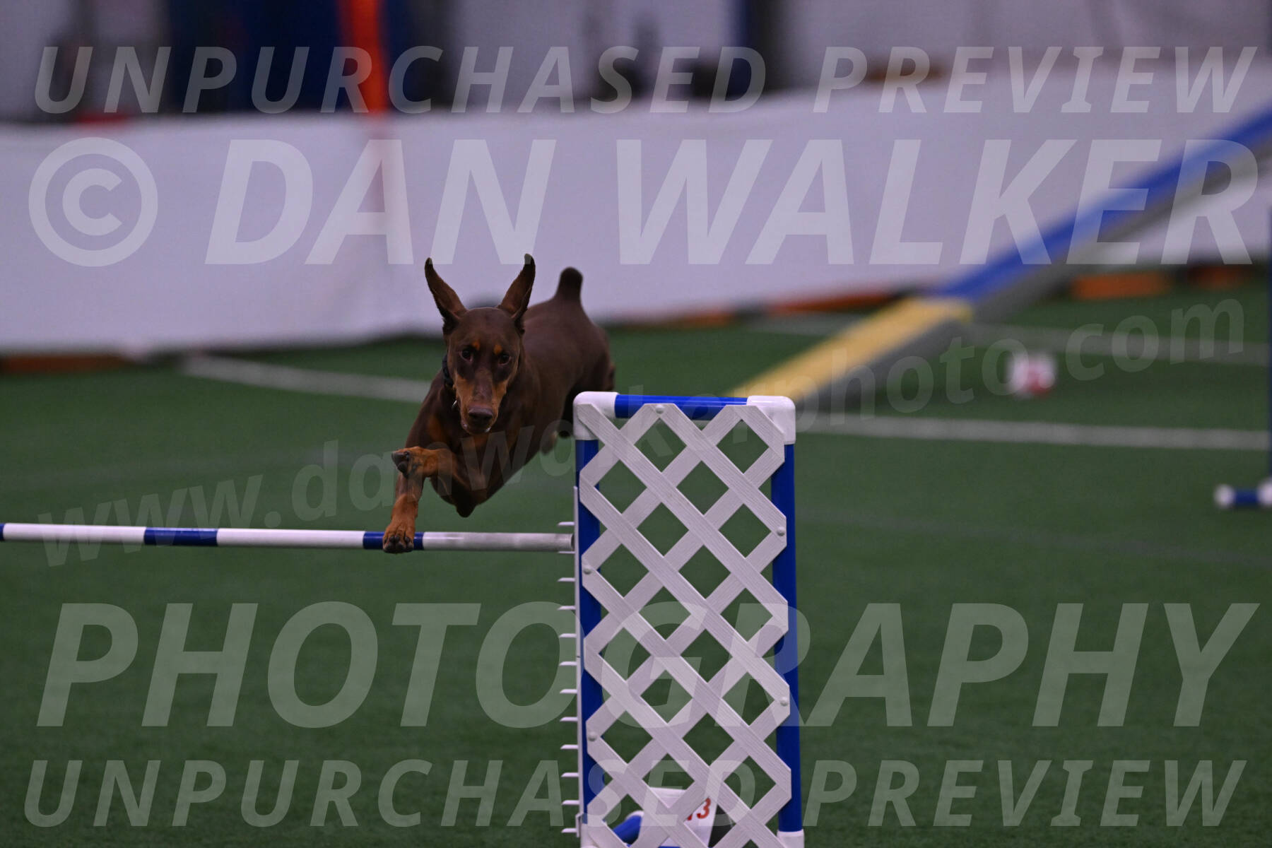 Derby-Carol-Moore-04981