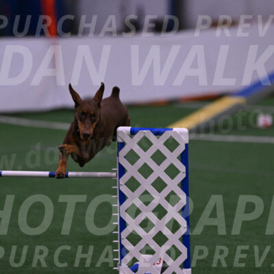Derby-Carol-Moore-04981
