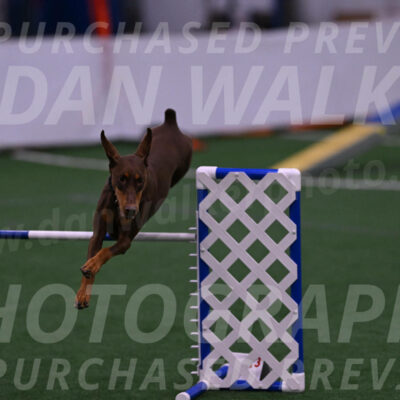 Derby-Carol-Moore-04982