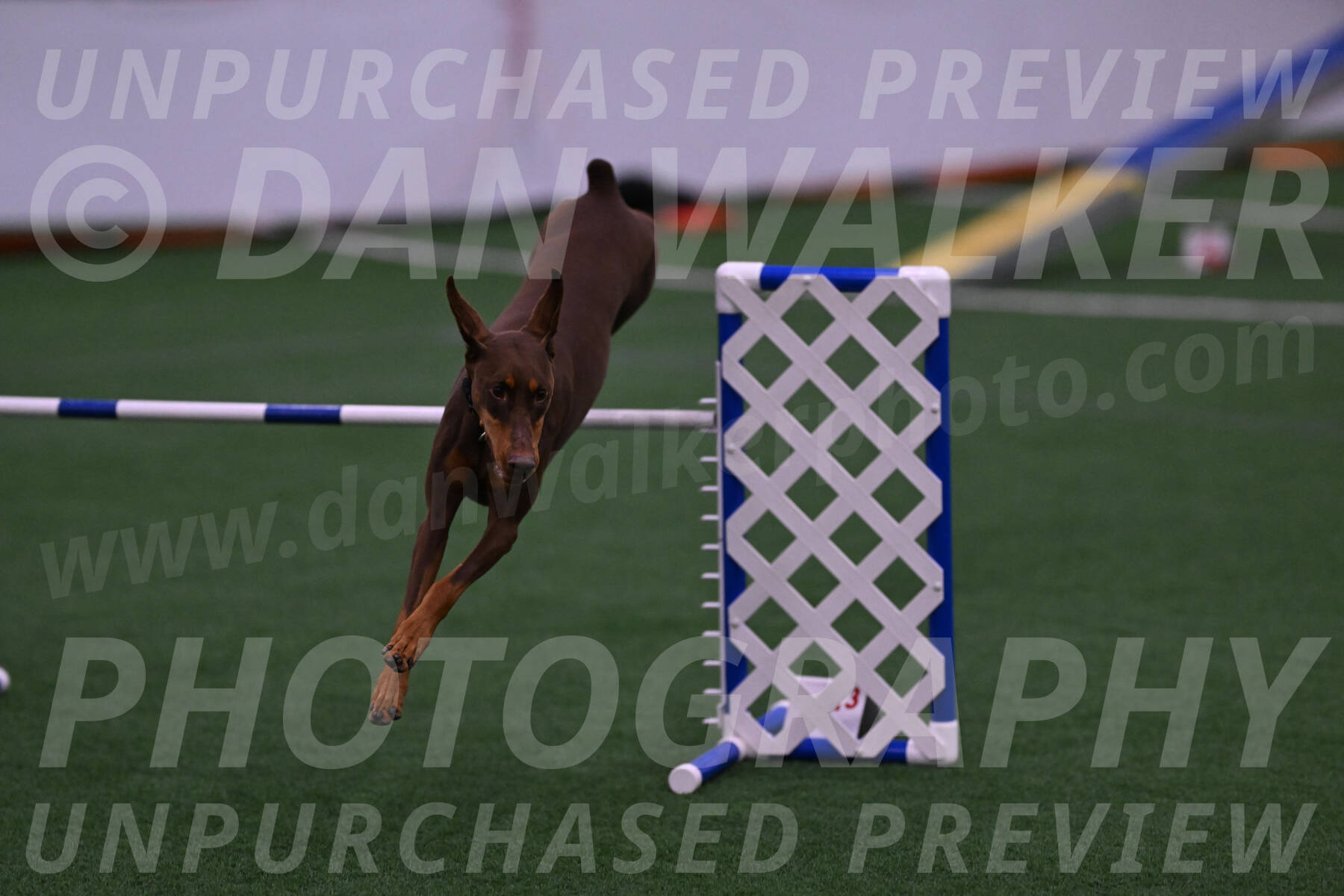 Derby-Carol-Moore-04983