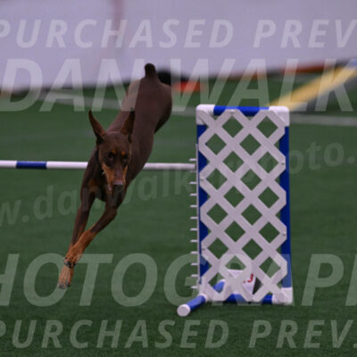 Derby-Carol-Moore-04983