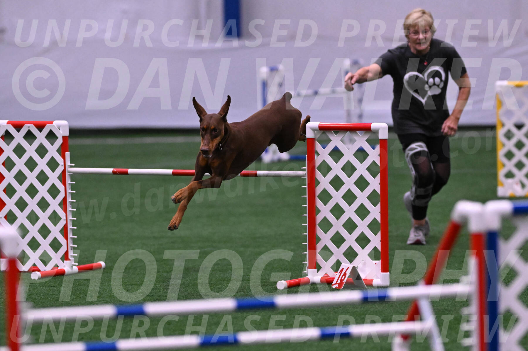Derby-Carol-Moore-04984