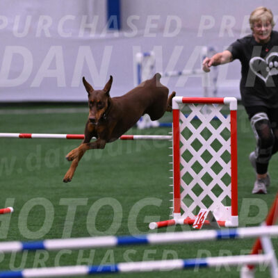 Derby-Carol-Moore-04984