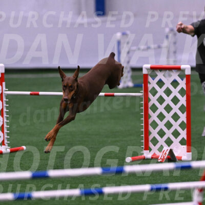 Derby-Carol-Moore-04985