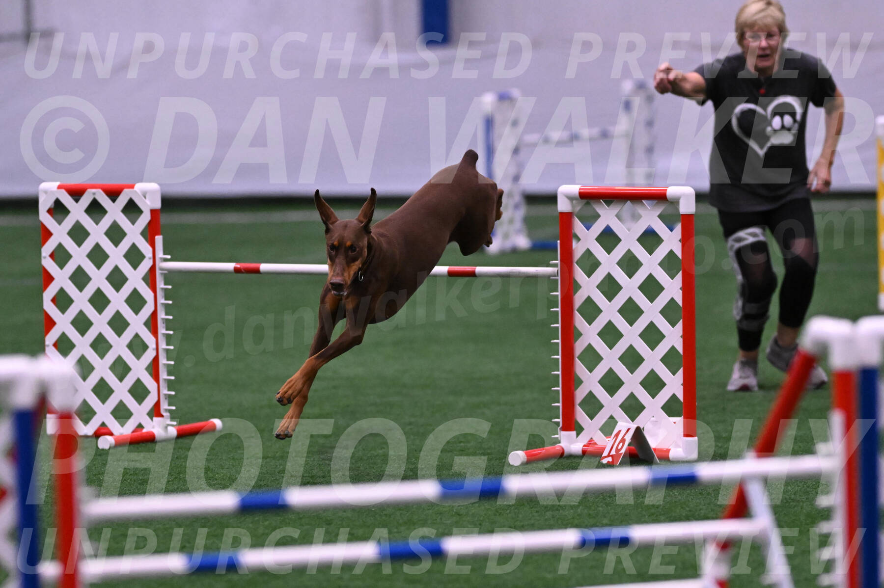 Derby-Carol-Moore-04985