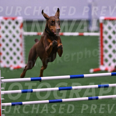 Derby-Carol-Moore-04988