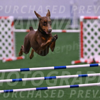 Derby-Carol-Moore-04989