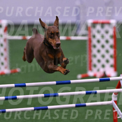Derby-Carol-Moore-04990