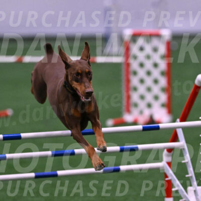 Derby-Carol-Moore-04991