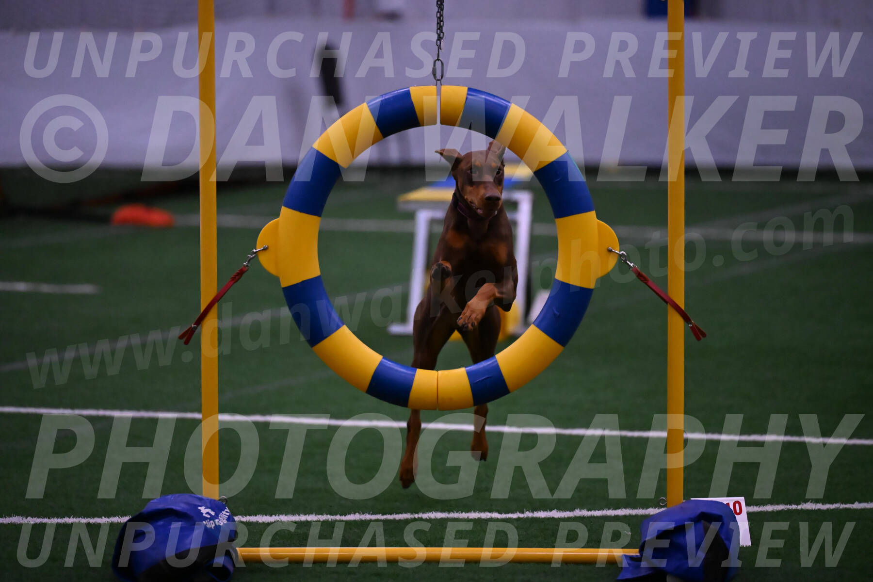Derby-Carol-Moore-04993