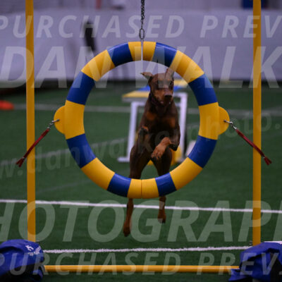 Derby-Carol-Moore-04993