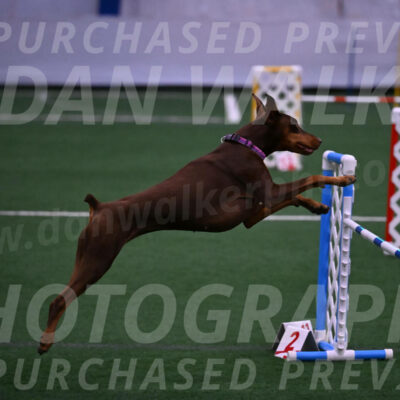 Derby-Carol-Moore-04998