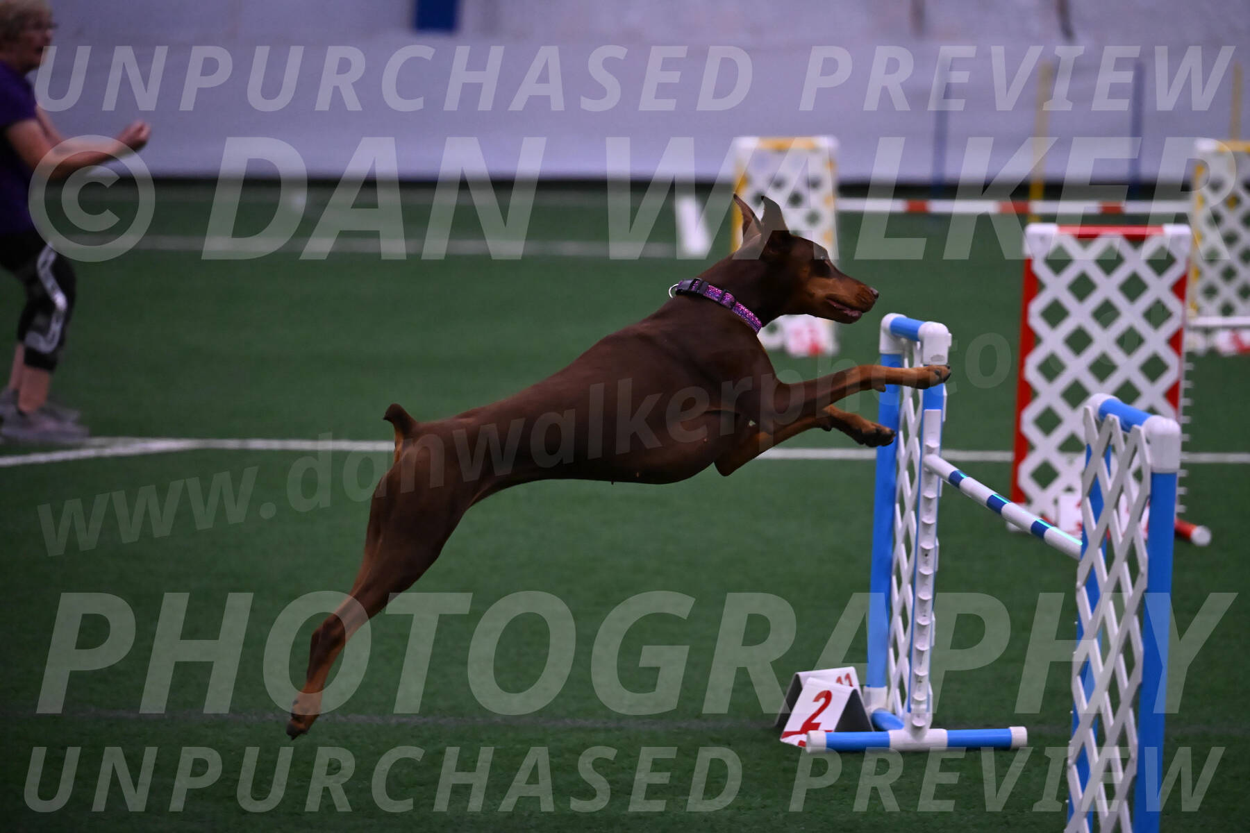 Derby-Carol-Moore-04998
