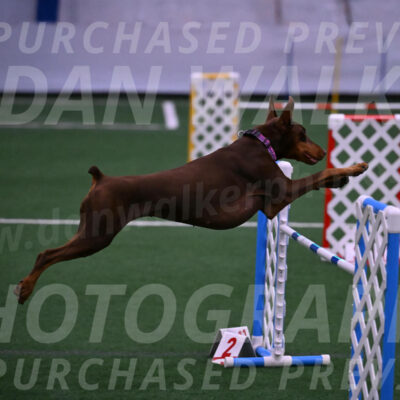Derby-Carol-Moore-04999
