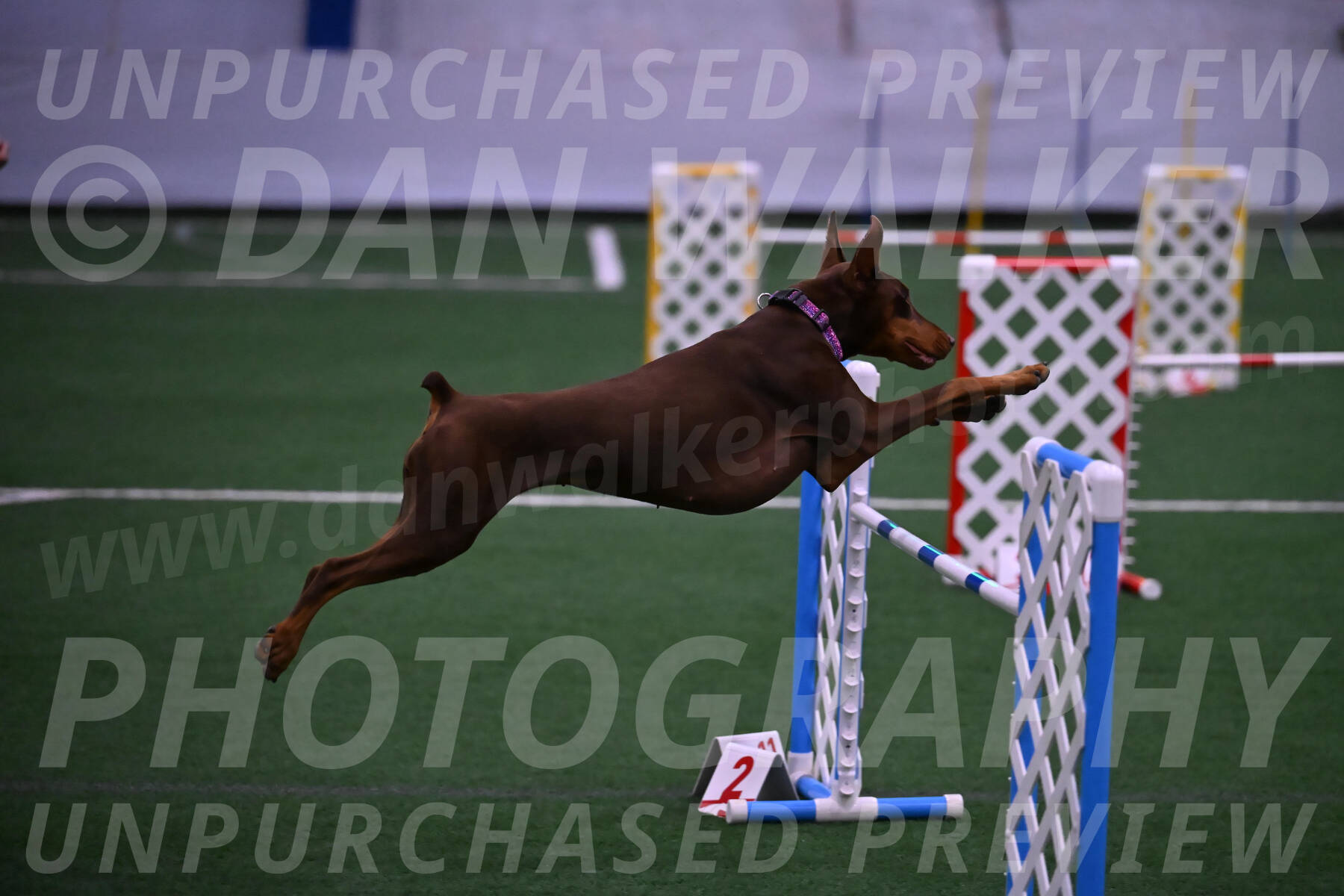 Derby-Carol-Moore-04999