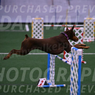 Derby-Carol-Moore-05000