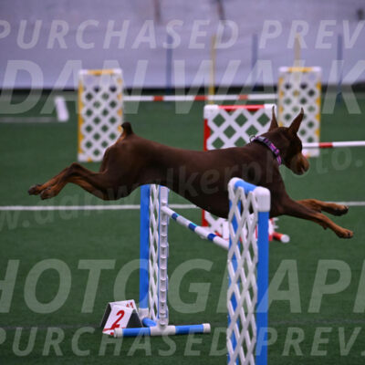 Derby-Carol-Moore-05001