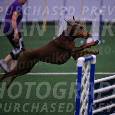 Derby-Carol-Moore-05006