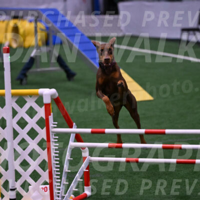 Derby-Carol-Moore-05022