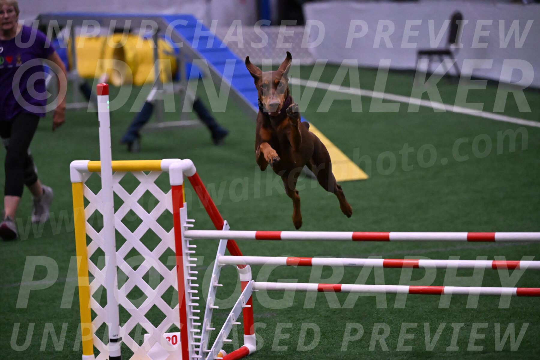 Derby-Carol-Moore-05023