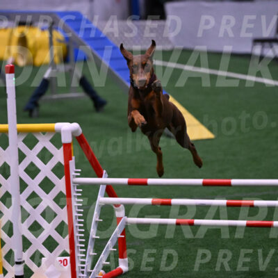 Derby-Carol-Moore-05023