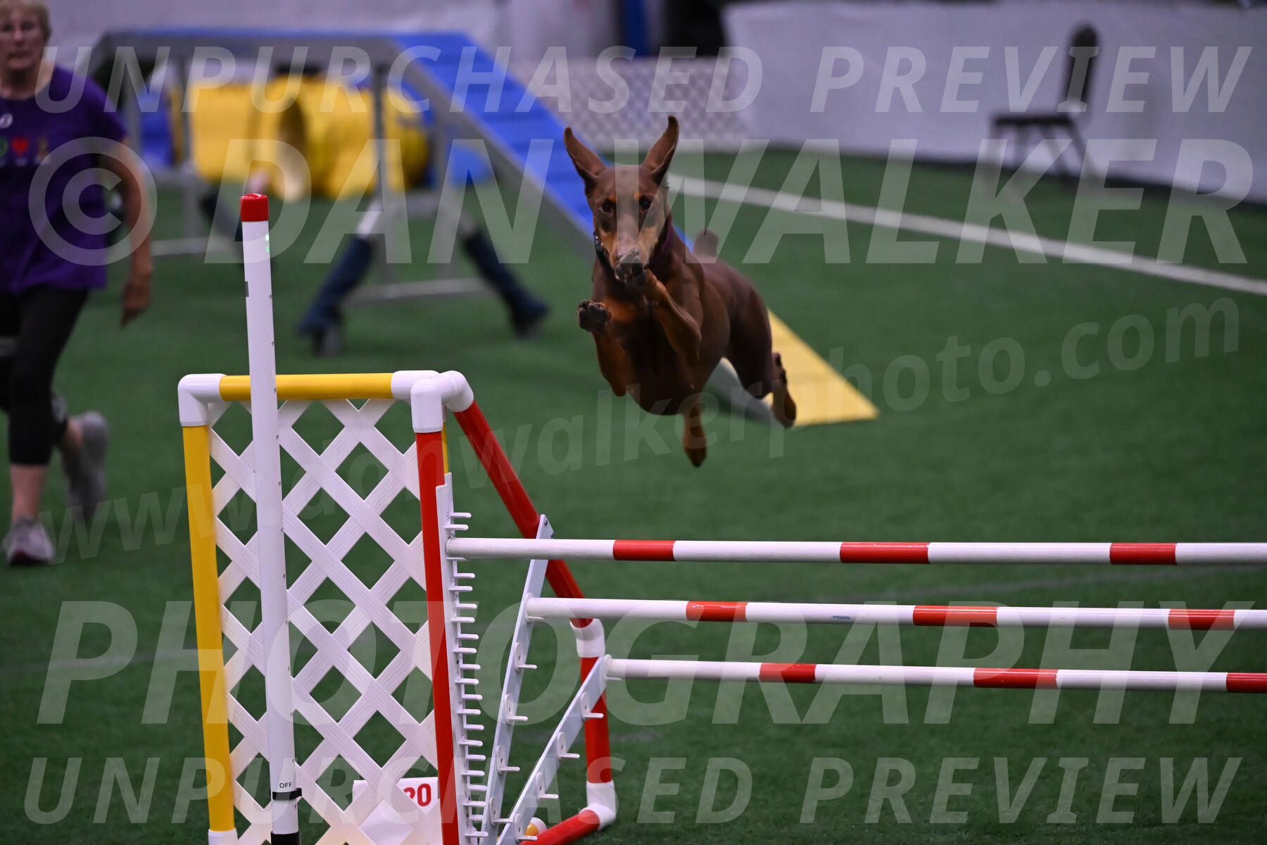 Derby-Carol-Moore-05024