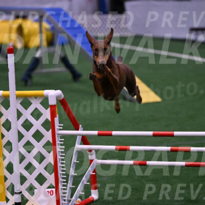 Derby-Carol-Moore-05024