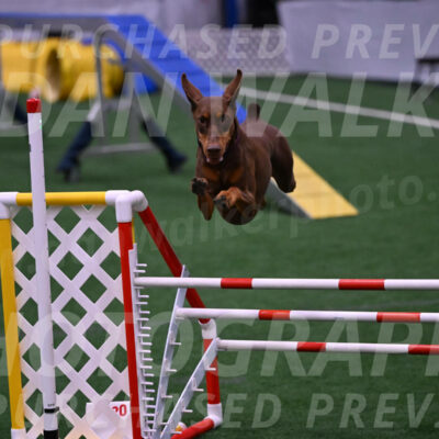 Derby-Carol-Moore-05025