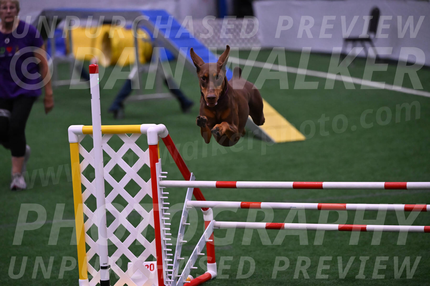 Derby-Carol-Moore-05025