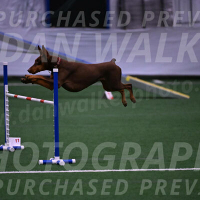 Derby-Carol-Moore-05028