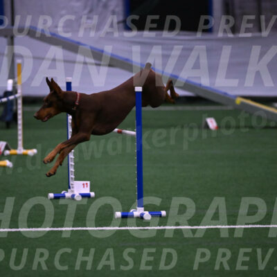 Derby-Carol-Moore-05031