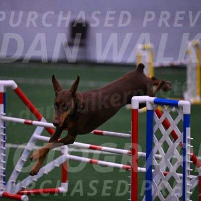 Derby-Carol-Moore-05037