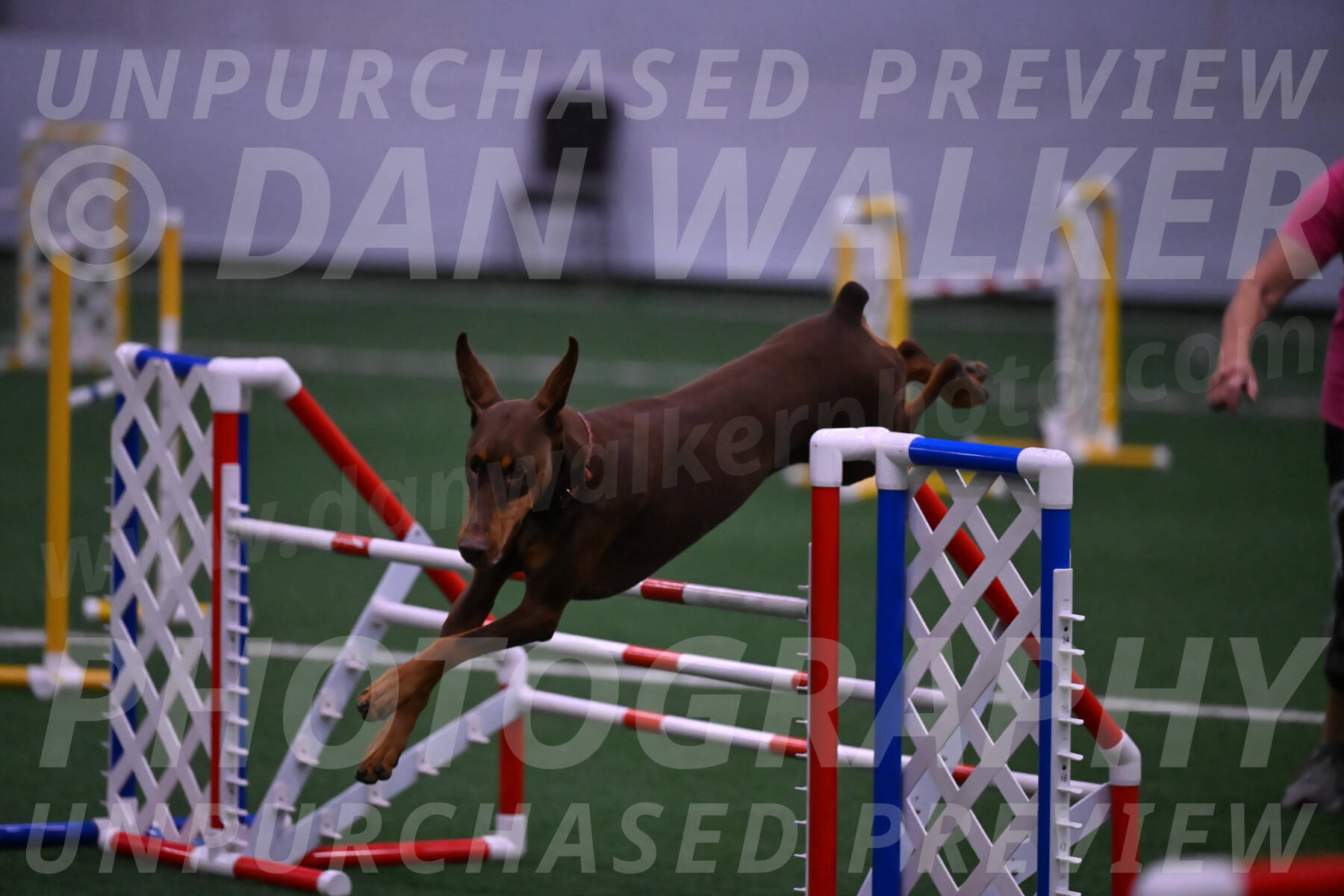 Derby-Carol-Moore-05037