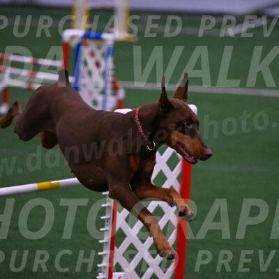 Derby-Carol-Moore-05045
