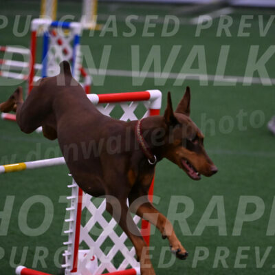 Derby-Carol-Moore-05046