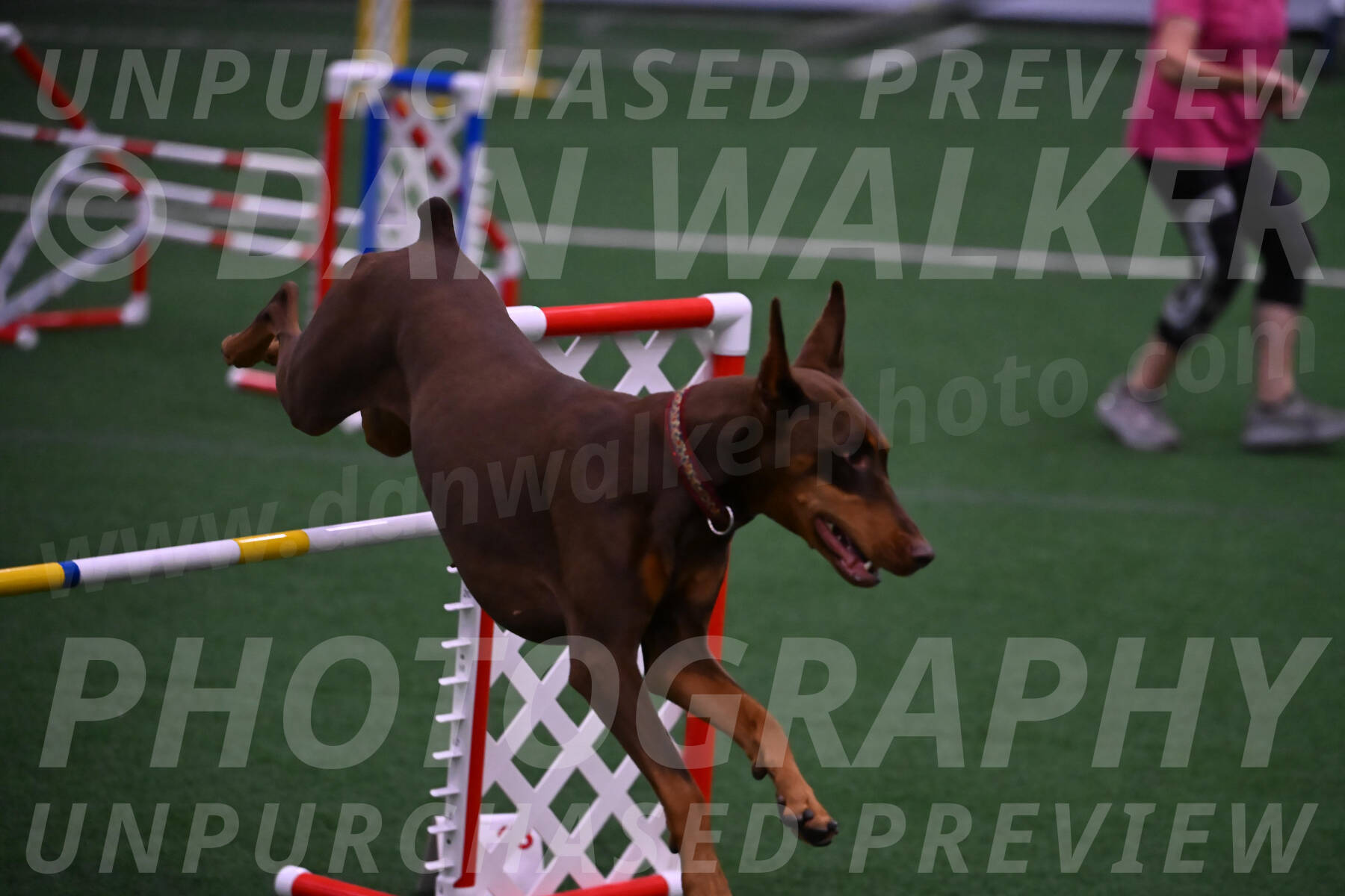 Derby-Carol-Moore-05046
