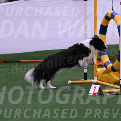 Digit-Fred-Pedersen-07567