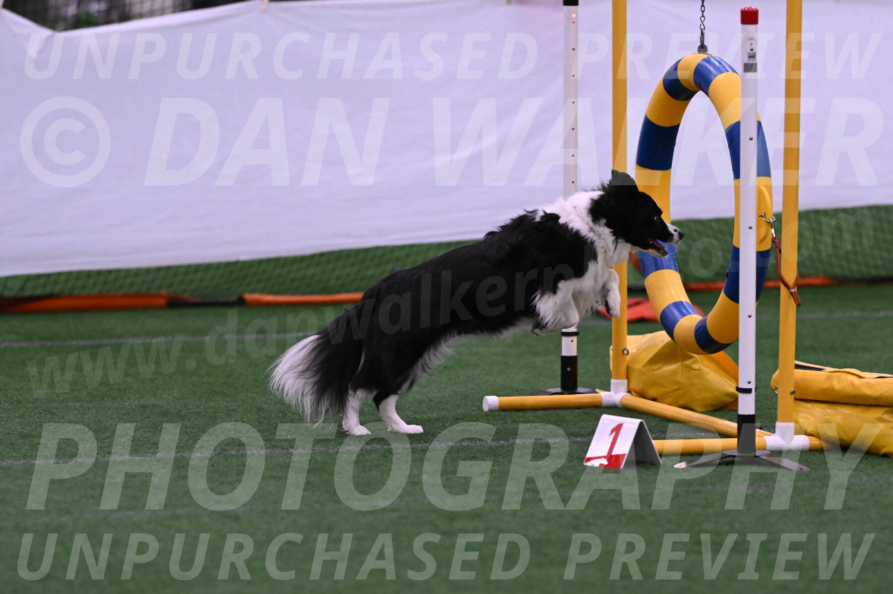 Digit-Fred-Pedersen-07567