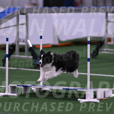 Digit-Fred-Pedersen-07600