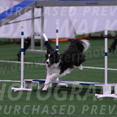 Digit-Fred-Pedersen-07601